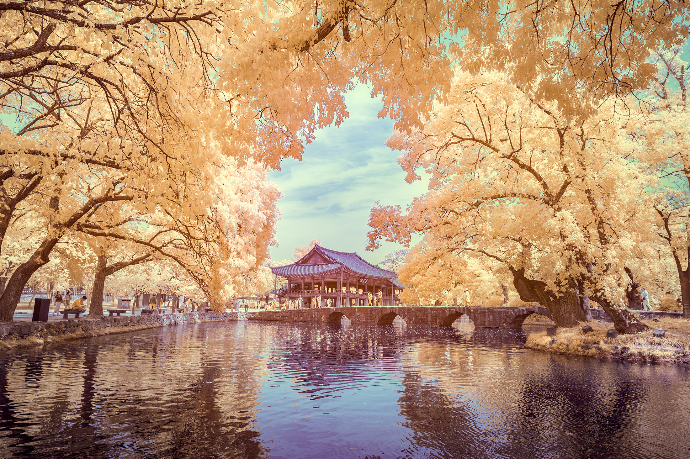 Gwanghallu Pavilion Viewed with Infrared Ray 5a17e562 44af 45ba 96f9 e5fc02b5e314